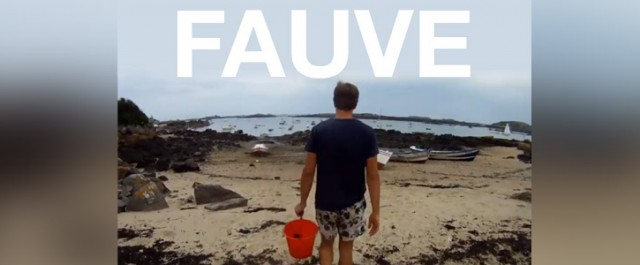 Fauve ≠ Pop écorchée